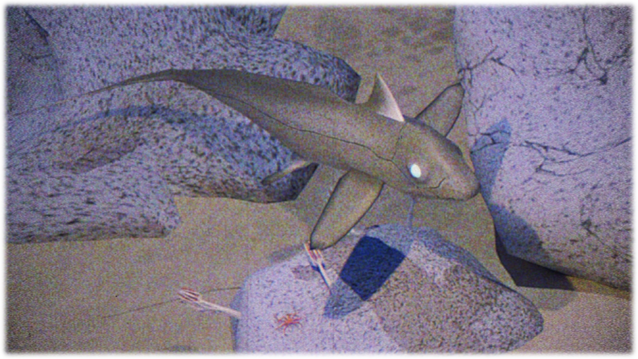 ギンザメ / Silver chimaera